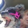 terrylynne2